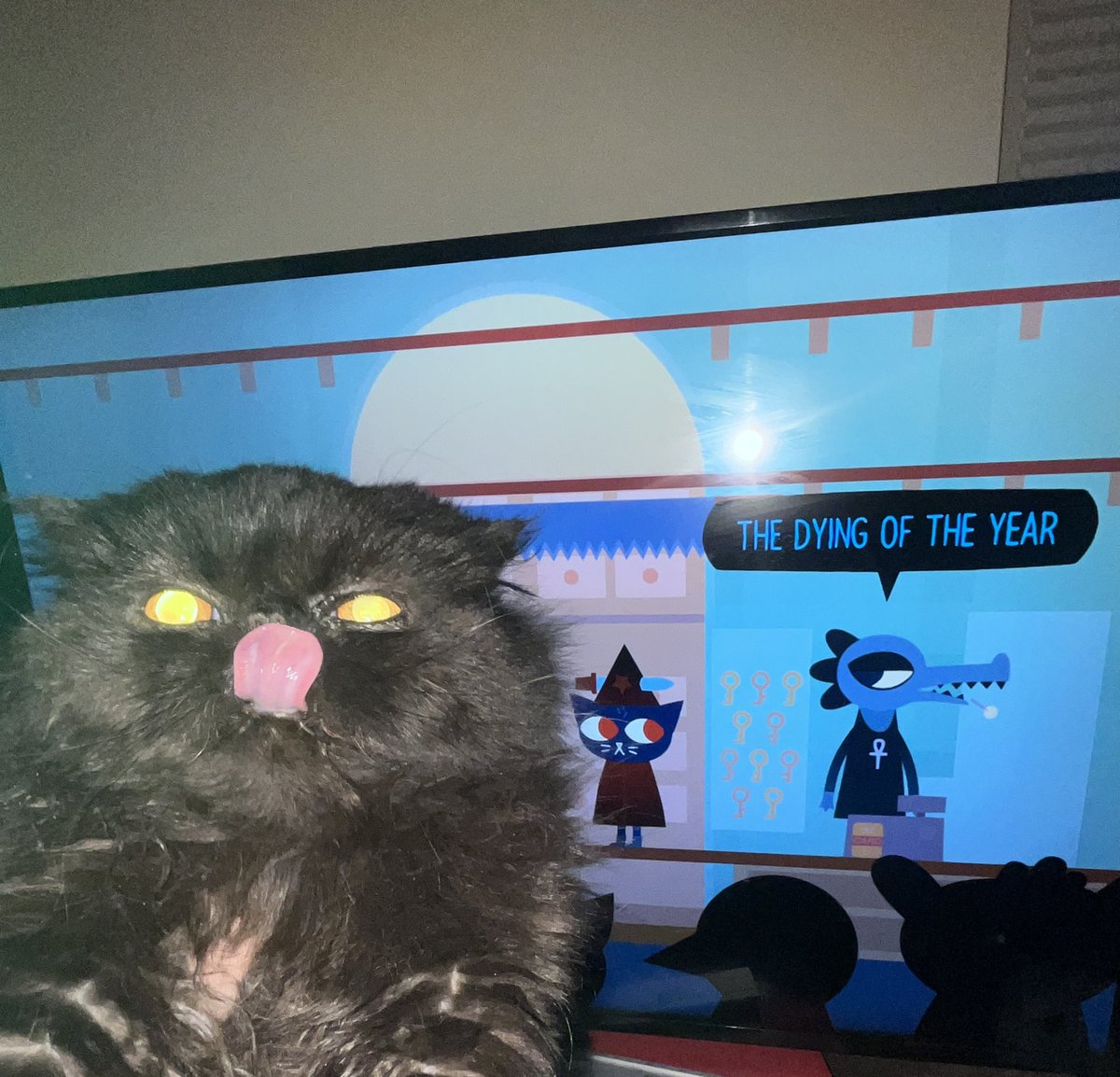 wormmonitor tweet media