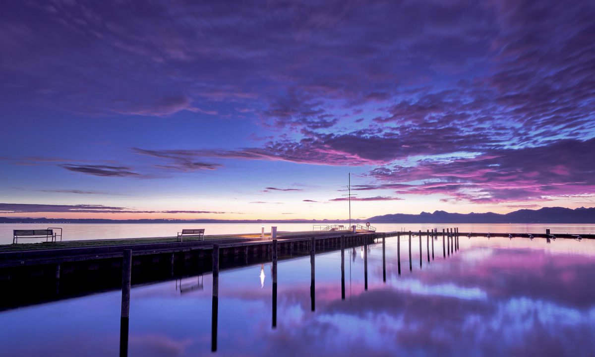 gardenofcolours's tweet image. 