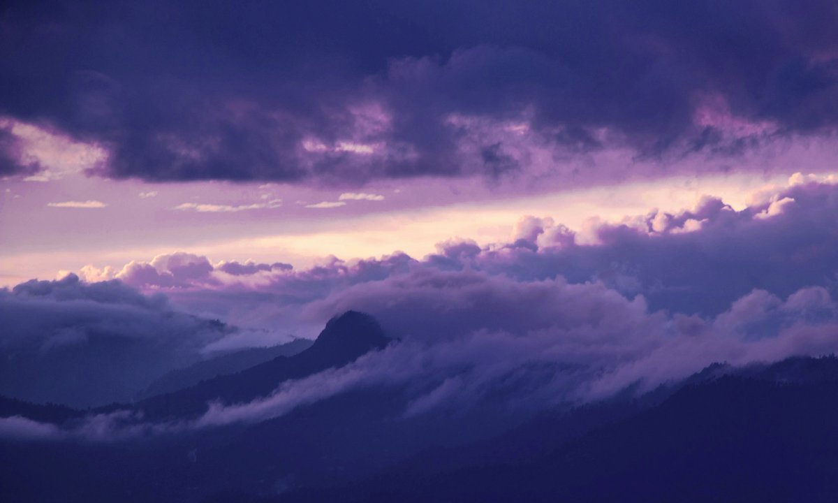 gardenofcolours's tweet image. 