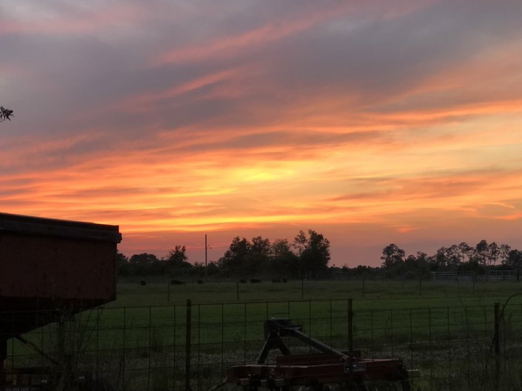 redfieldleo7's tweet image. 