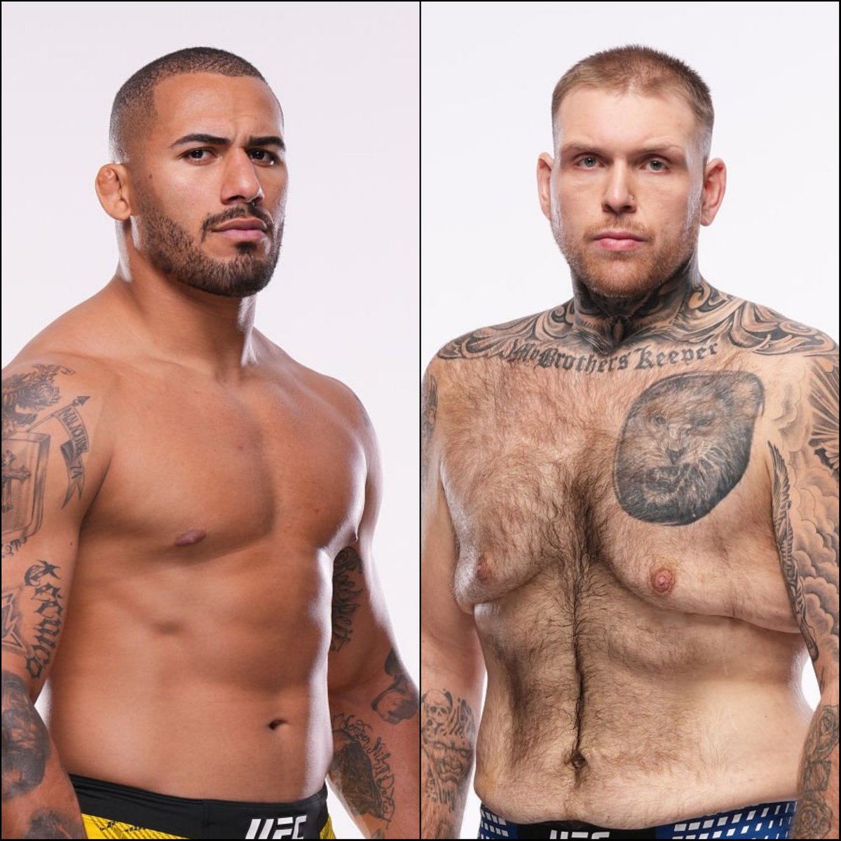 Marcel Dorff 🇳🇱🇮🇩 tweet media