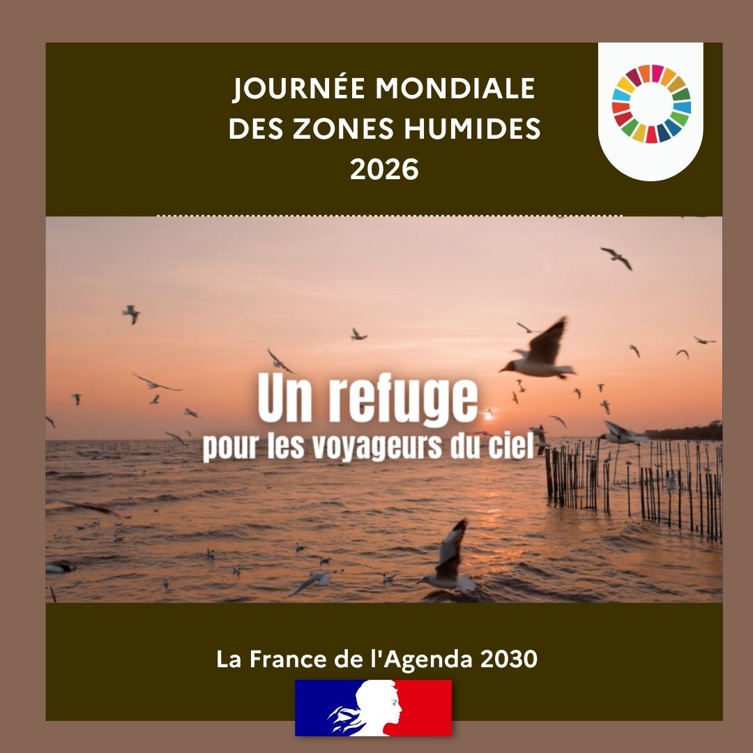 Agenda2030FR's tweet photo. 🌿 Aujourd’hui, c’est la Journée mondiale des zones humides !
Cette année, le thème met à l’honneur les savoirs traditionnels et le patrimoine culturel liés aux zones humides 🌍✨https://t.co/OvFC5NaiQ5
#ODD6 #ODD13 #ODD15 https://t.co/Org0N06YBx