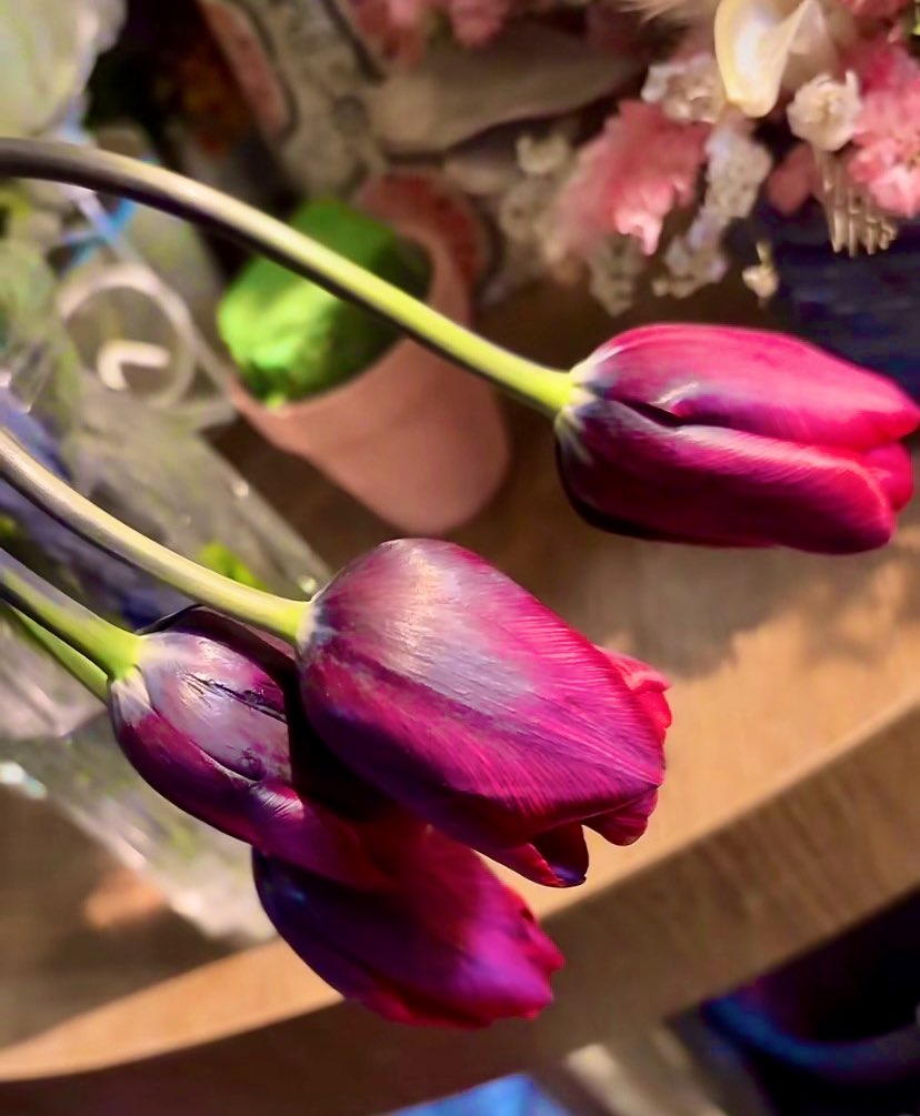 ひとり笑い。
一日を終えるにはこれがいい。