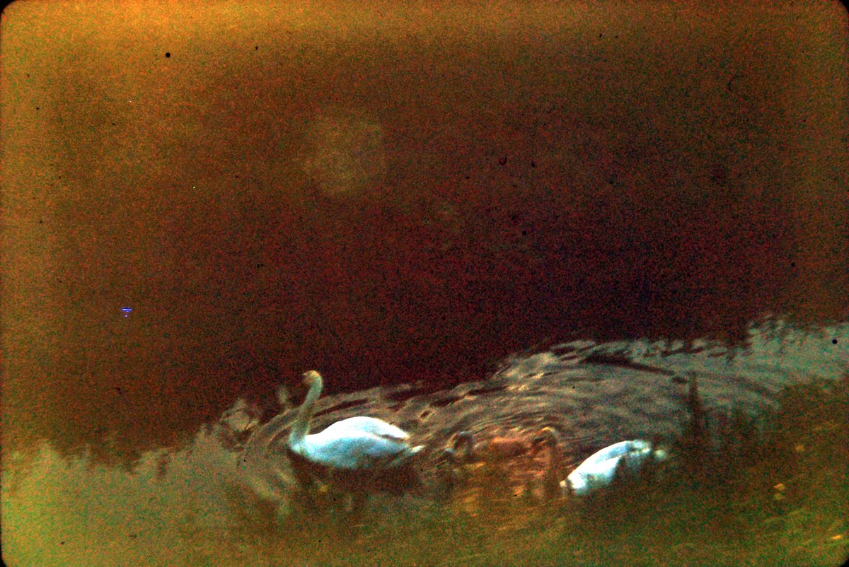 Scanned negatives, slides and photos - photographers unknown.
#vintage #photography