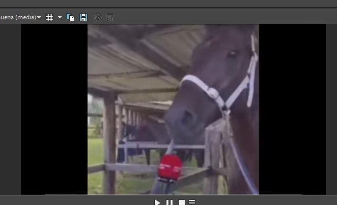 ¿Ya les dije que me dan miedo los caballos?