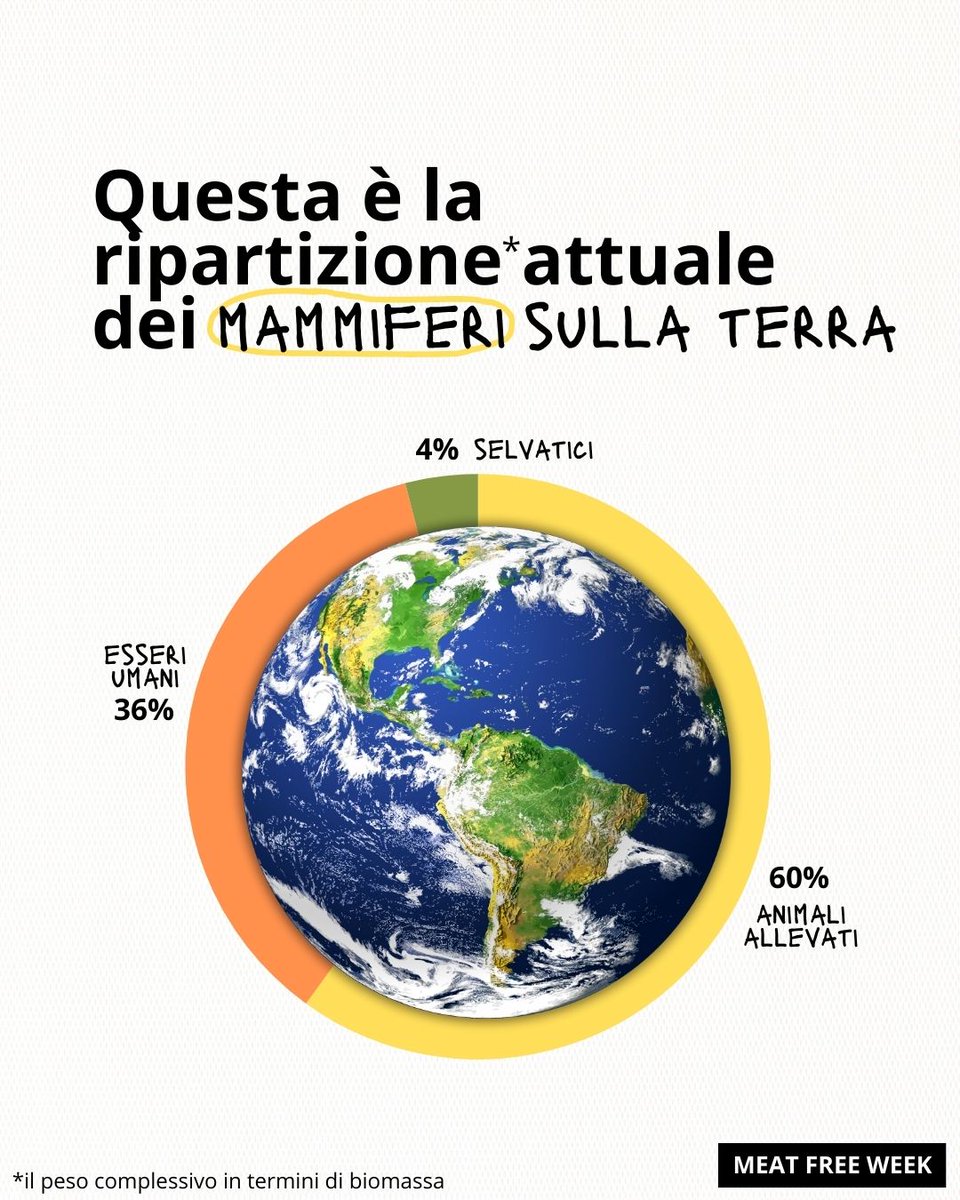 WWFitalia's tweet photo. Il 60% dei mammiferi sulla #Terra vive negli #allevamenti
Questo dato è solo uno dei 6 buoni motivi per ridurre il consumo di carne
Li stiamo raccontando tutti nella nostra #Meatfreeweek, un'iniziativa per spiegare l'importanza di scegliere un'alimentazione sostenibile https://t.co/T6m8PbWVjM