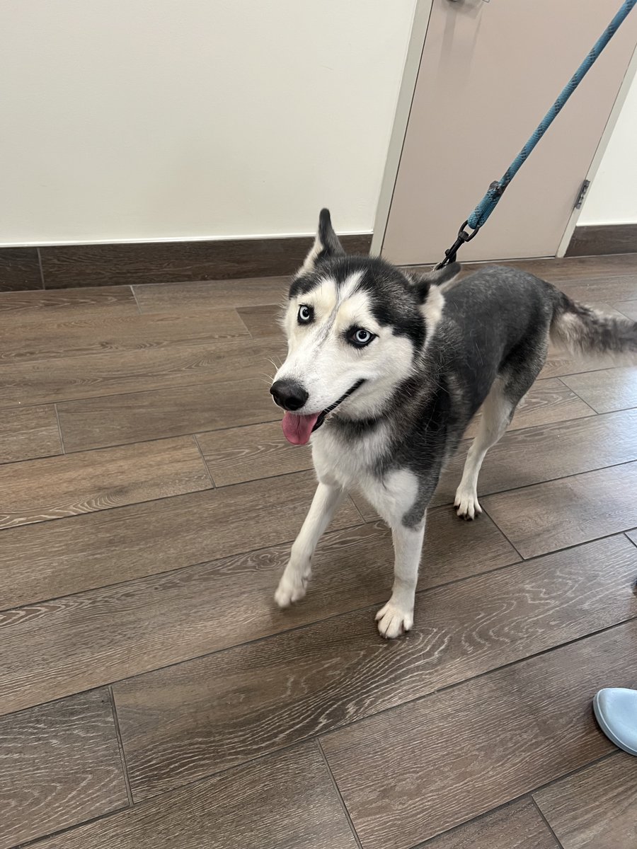 Broward Sheriff's Office Weston District tweet media