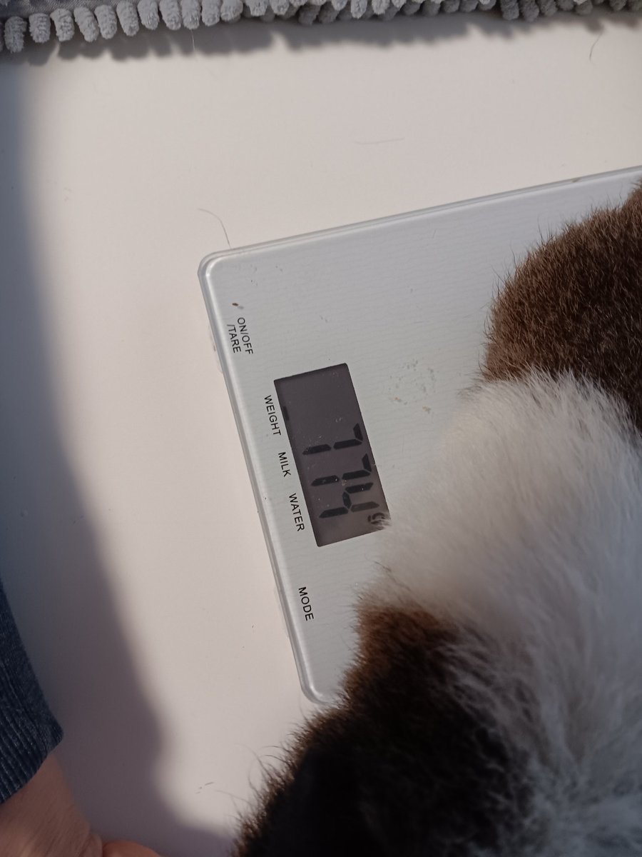 Die Schwellung ist weg UND von gestern Mittag zu heute 44g Gewicht zugelegt,  ohne dass er zugefüttert wurde(will er nicht)