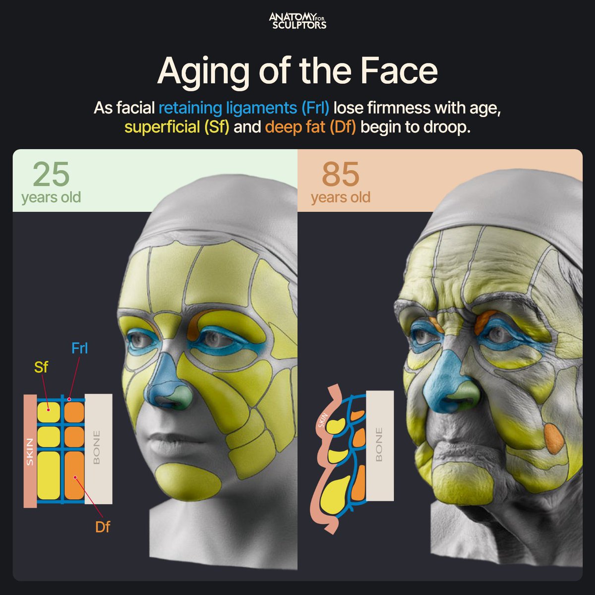 あかさき (@akasaki1211) / Posts / X