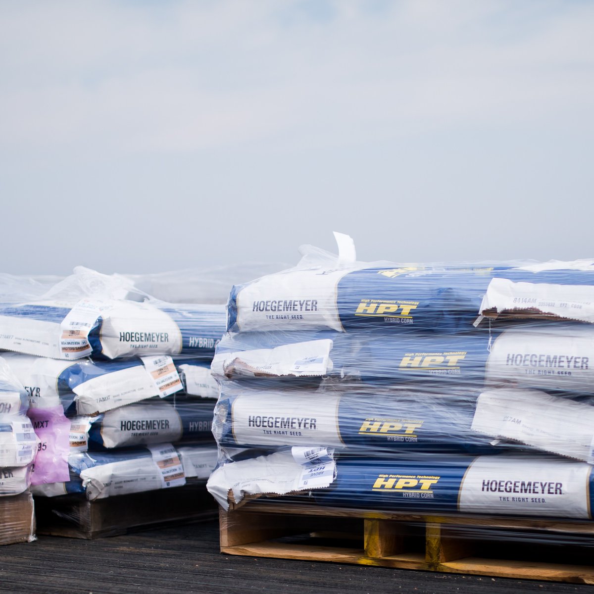 Hoegemeyer Hybrids tweet media