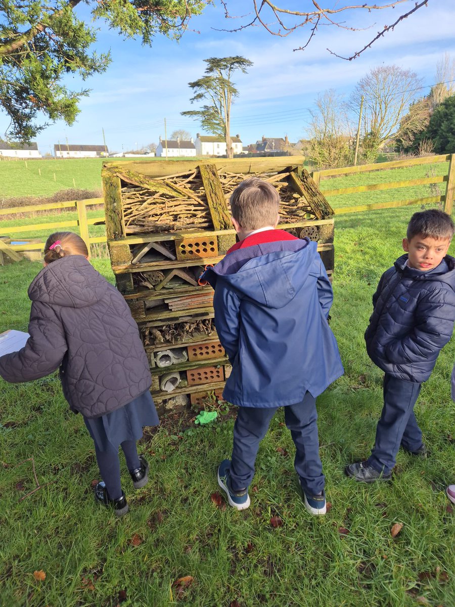 Ballyragget N.S. tweet media