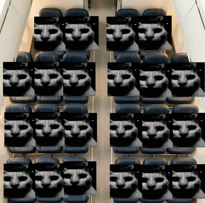 gogo51bal's tweet image. 좌석을 골라보세요.