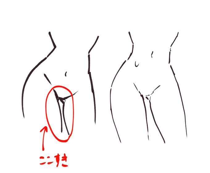 ここが好きなのでいいつも胴体ばっか描いてる(手足顔が上達しない) 