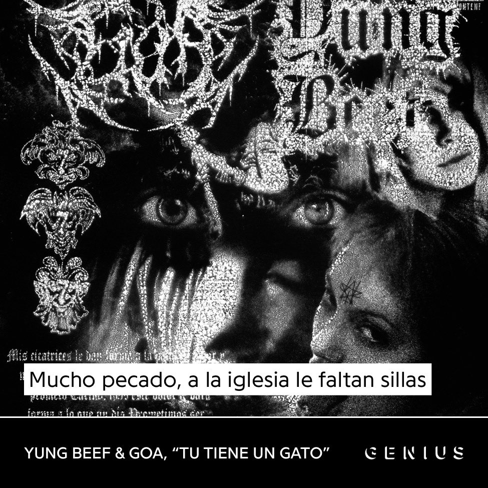 kiko tweet media