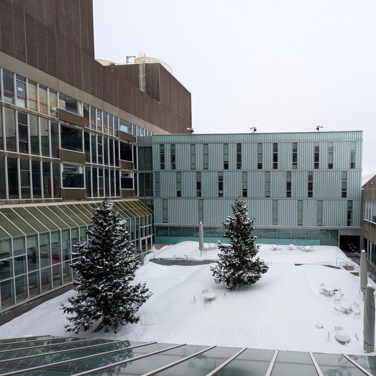 Harvard Department of Mathematics tweet media