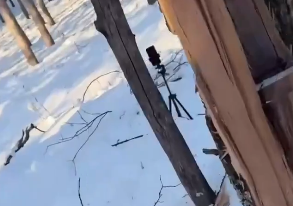 JayForty40's tweet photo. @MauricioDonofr1 @volcaholic1 ✅Another camera set up next to that tree. 🤣 https://t.co/cbLmWCzL8t