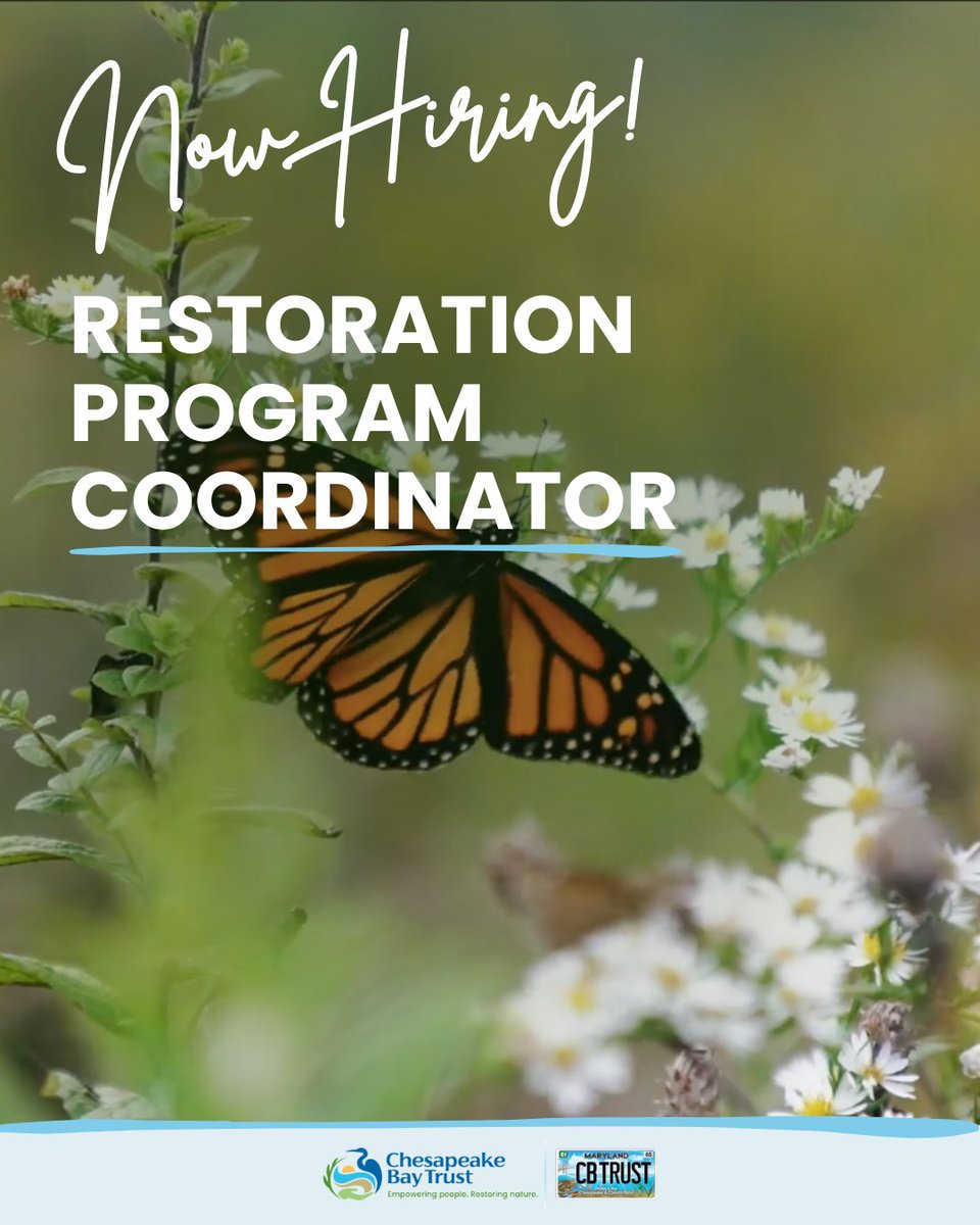 baytrust's tweet photo. We’re Hiring: Restoration Program Coordinator

This role supports award programs that advance clean water, climate resilience, and habitat restoration across Maryland and the Chesapeake Bay watershed.

Apply today! https://t.co/FtlBWaOeCJ https://t.co/7p9WgCyqF4