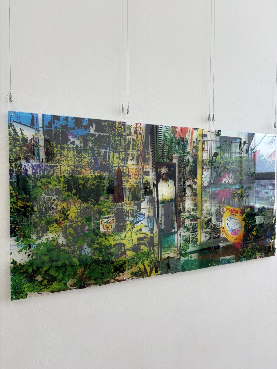 油彩画　「　大王さくら　」原画　3Dキャンパス 油彩画 「 大王さくら 」原画 3Dキャンパス 油彩画 「 大王さくら