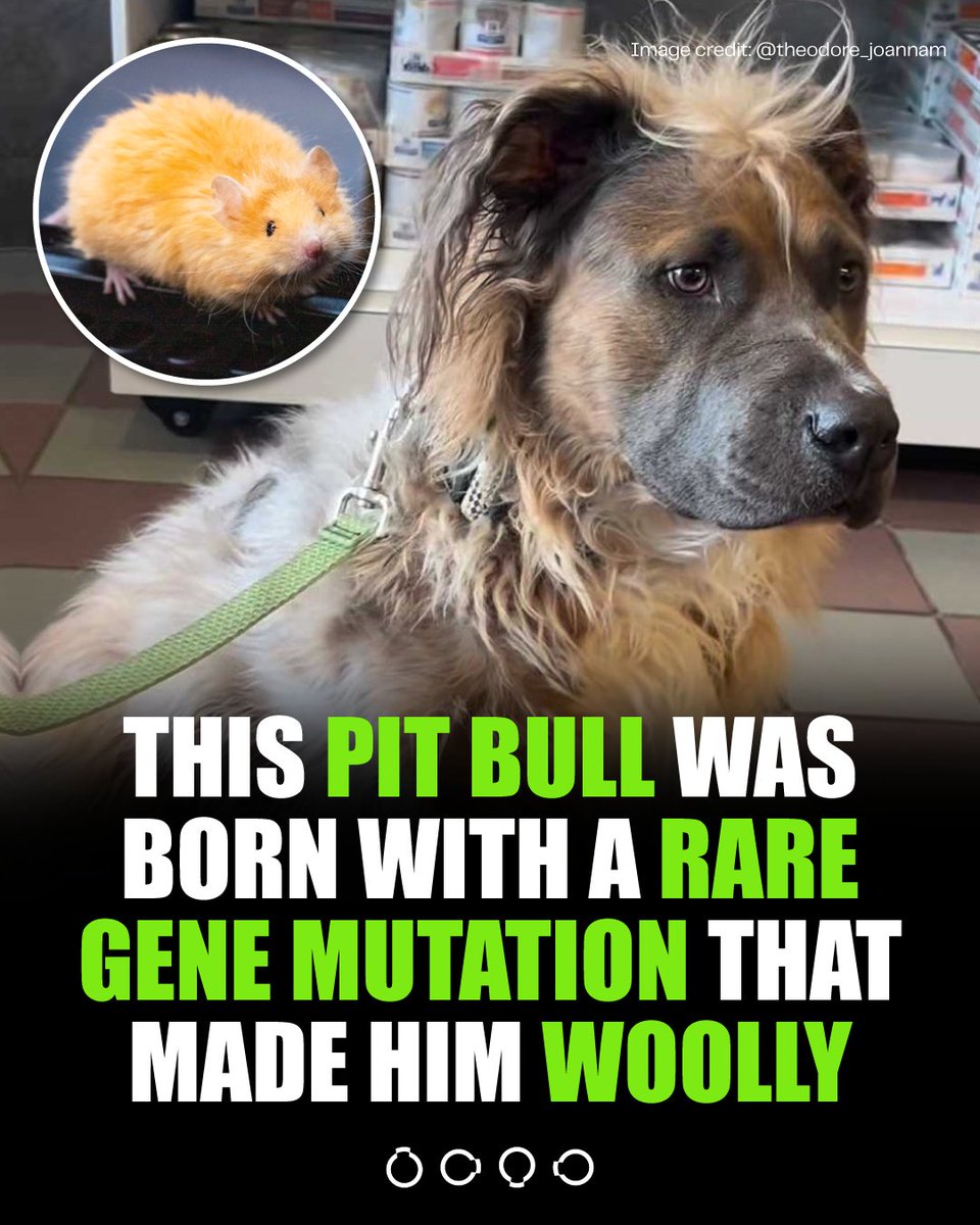 Colossal Biosciences® tweet media