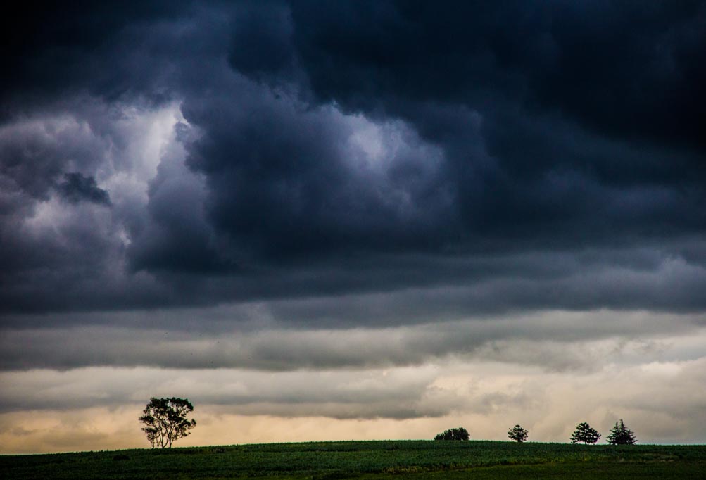 Iram Ortega 👁 tweet media