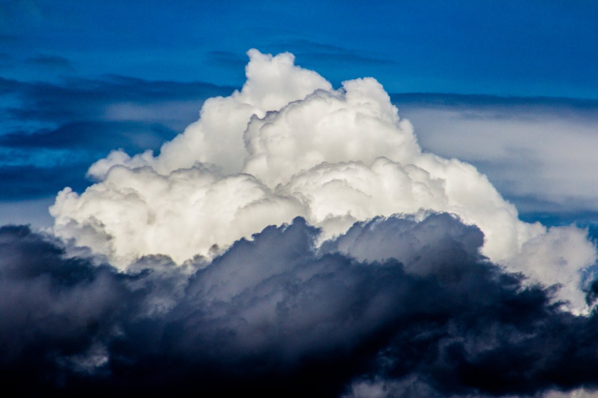 Iram Ortega 👁 tweet media