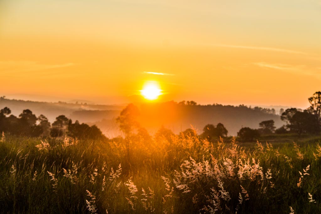 Iram Ortega 👁 tweet media