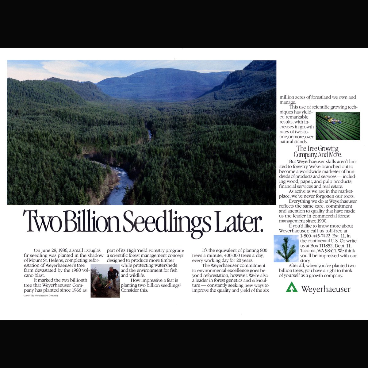 foresthistory's tweet photo. From vintage print ads to bold modern campaigns, "Weyerhaeuser Company: A Century of Advertising" reveals how one company sold wood—and a vision of the forest—over 100+ years: https://t.co/cQZW5jnO2W https://t.co/OaTHNu5Cr6