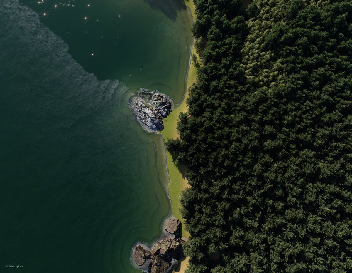 igurupanmalli's tweet photo. D5 render 3.0 ocean tool testing 🌊😌
මේකෙ pro version එක ගත්තට පාඩු නෑ වගෙත් හිතෙනවා
#d5render #3dproject #3dvisualization #testingproject https://t.co/r04BMMi69R