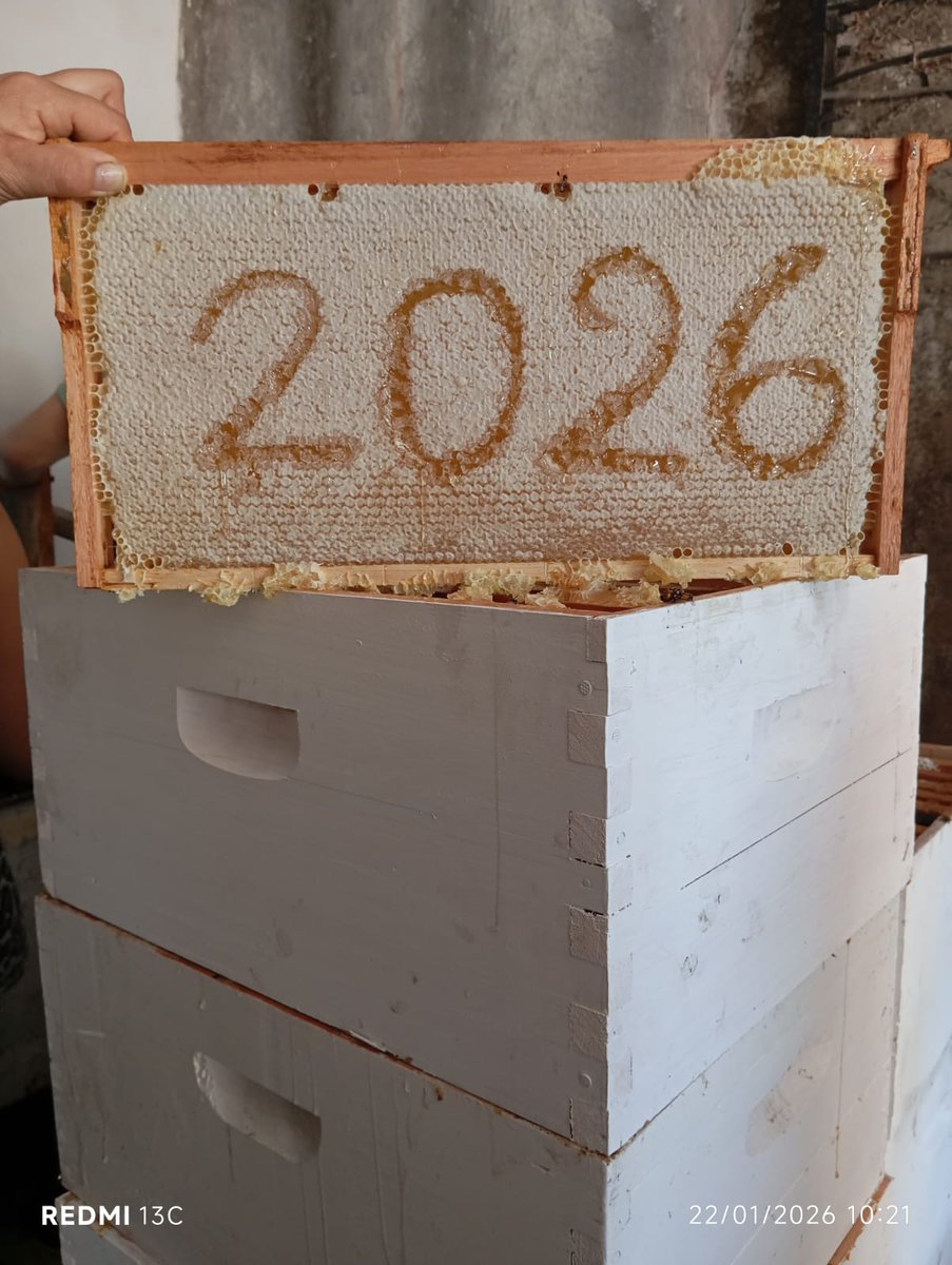 Municipalidad de Pila tweet media