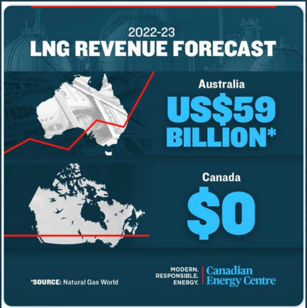 Tina Wang tweet media
