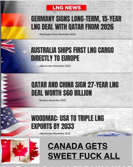 Tina Wang tweet media