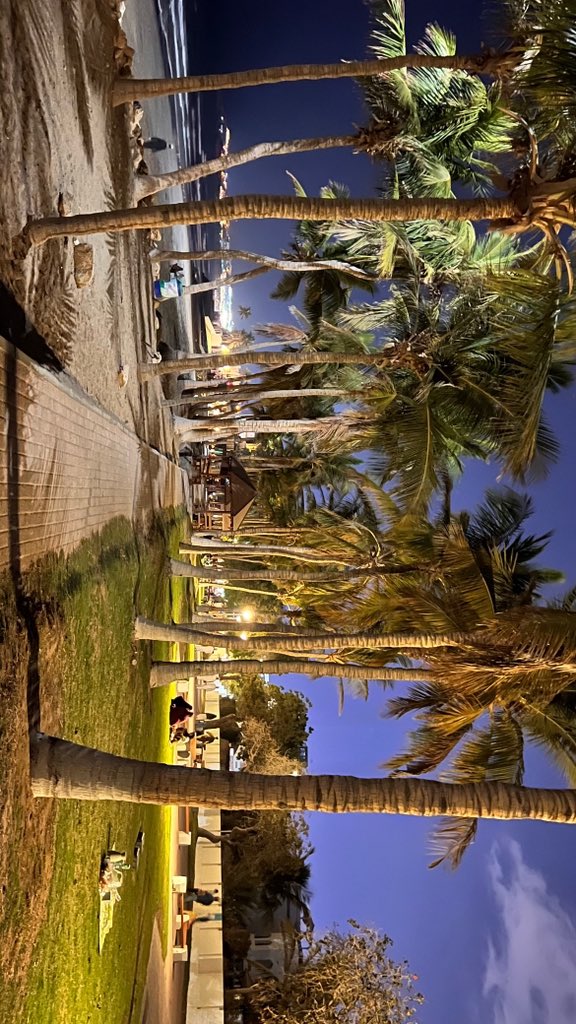 7h00d's tweet image. الكلب عشاان الأتنشن 😂.