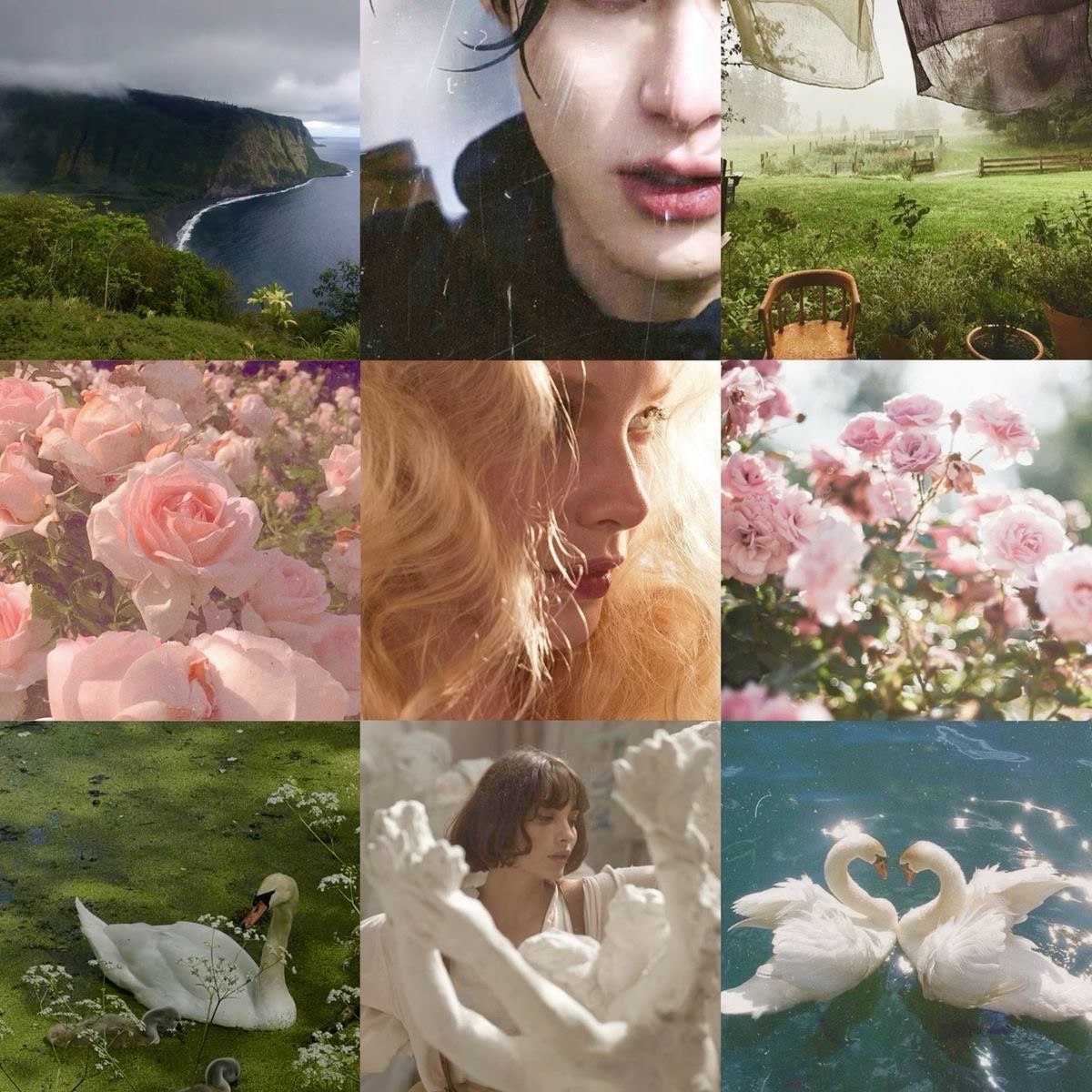 suzanne albanis (author!) 🌱🪲 tweet media