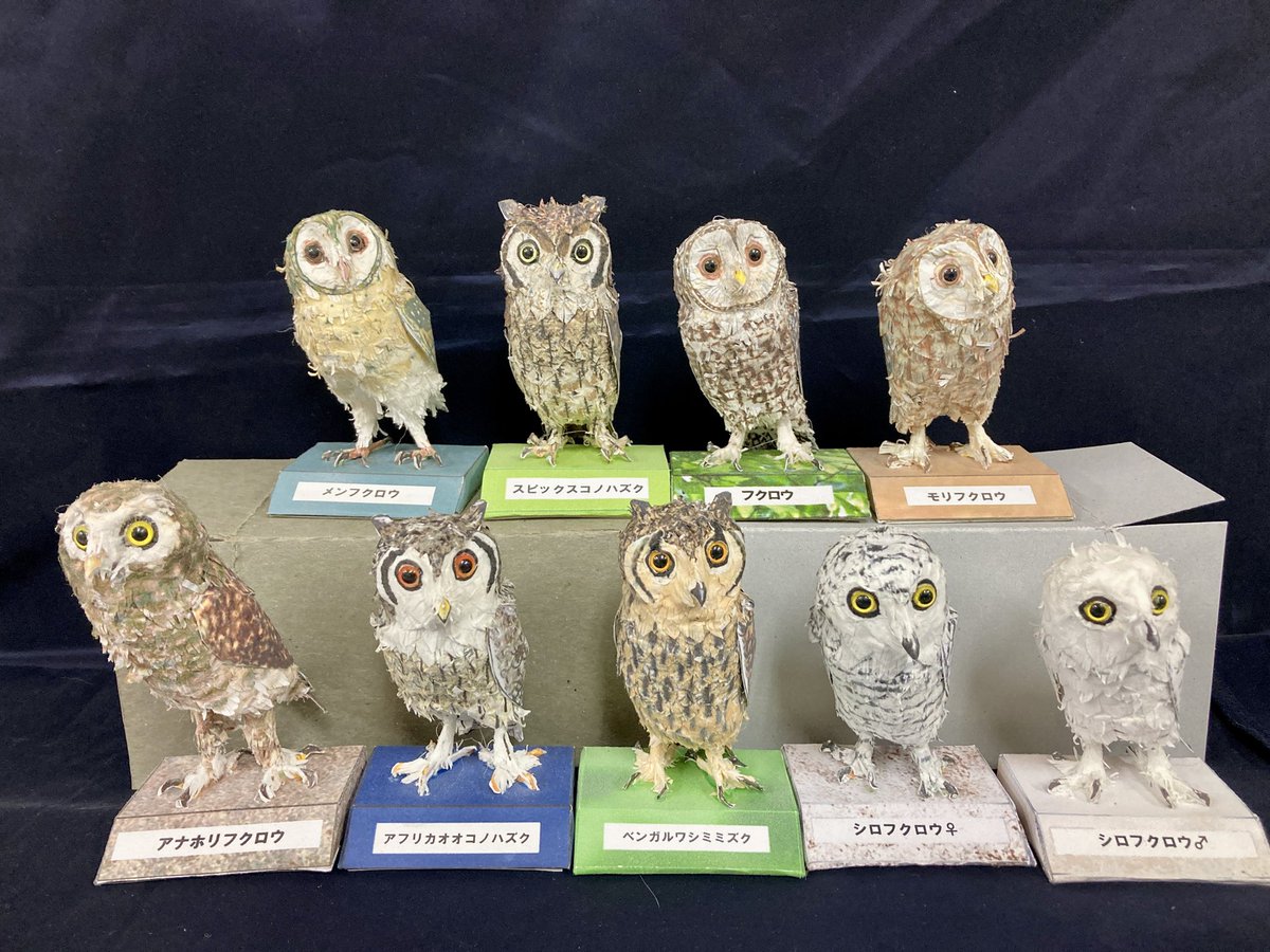 プラネット9展 福を呼ぶ！ 福来郎シリーズ 新作フクロウ他 ベンガル