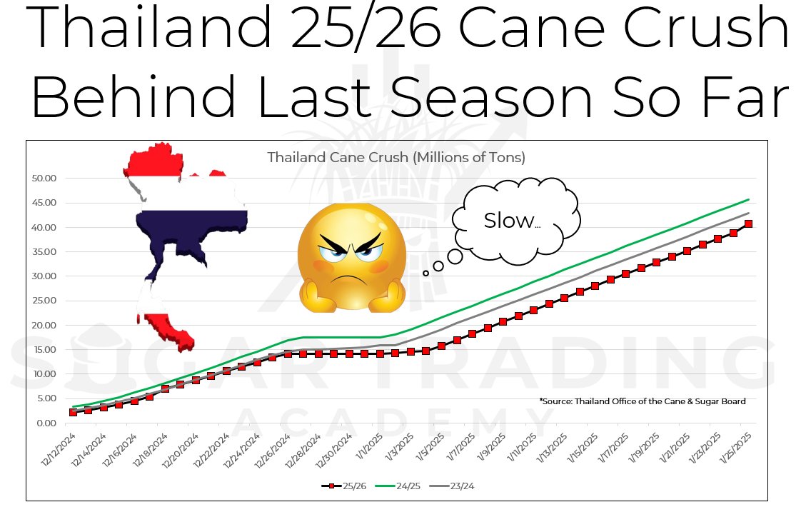 Thailand’s 25/26 sugarcane crush continues to trail last year's volume, despite weather being predominantly dry. As of Jan 25th, 40.7m tons had been crushed versus 45.7m tons a year ago. the lag seemingly reflects labor shortages and rain-related harvest delays early in the