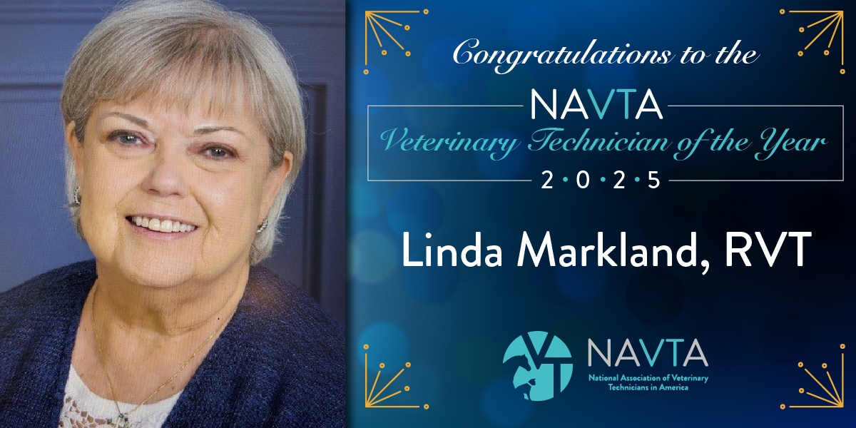 vettechs tweet media