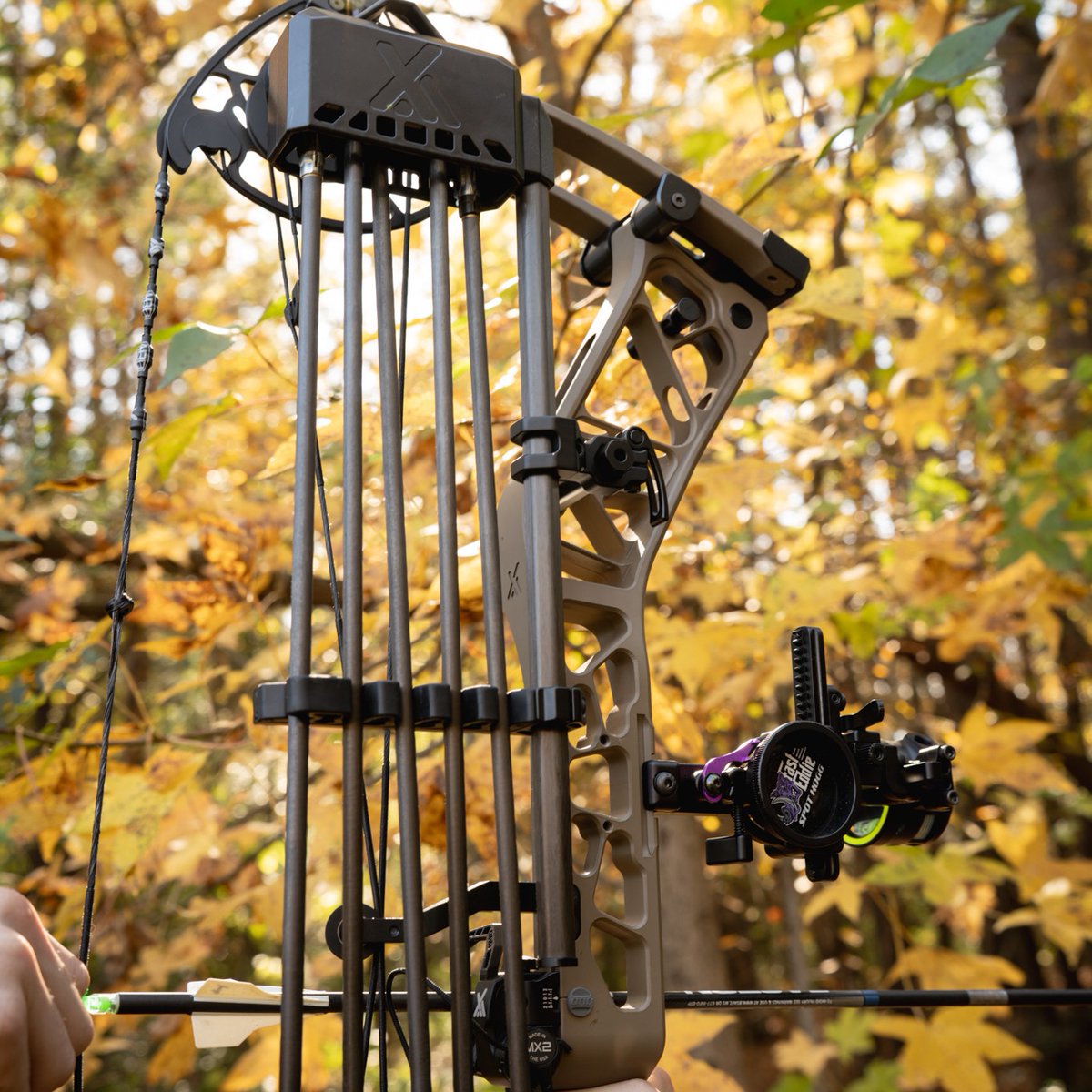 Xpedition Archery tweet media