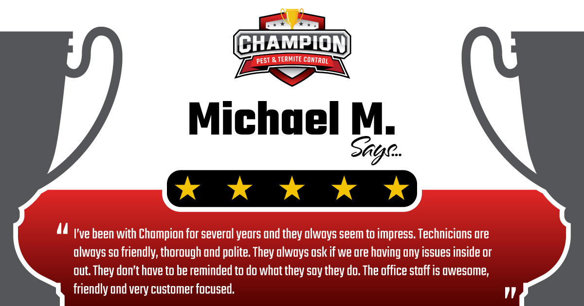 Champion Pest & Termite Control tweet media