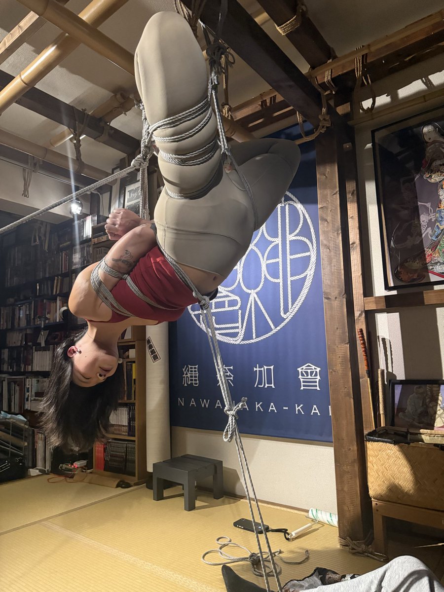 Mosaic cat_maomao tweet media