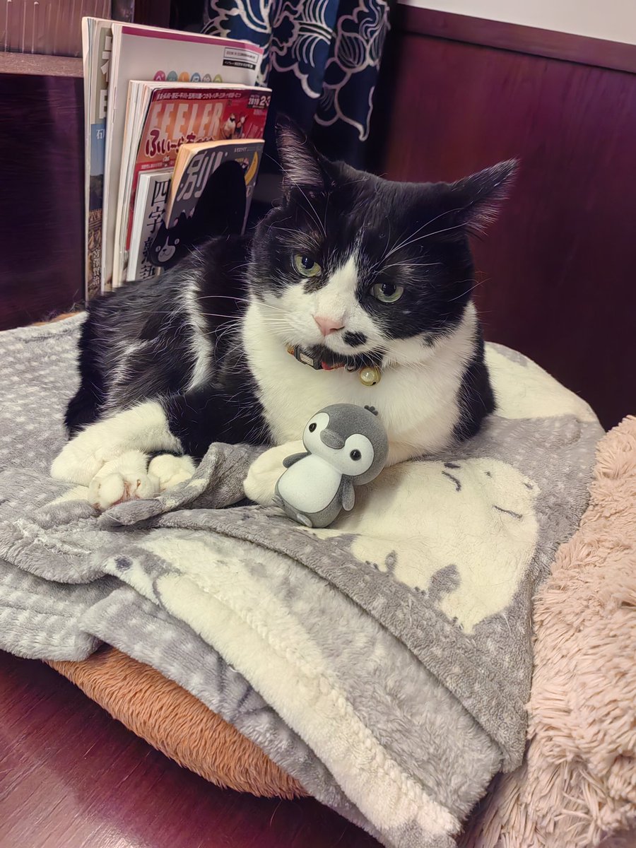 宅橘 (@zhaiju2) on Twitter photo 