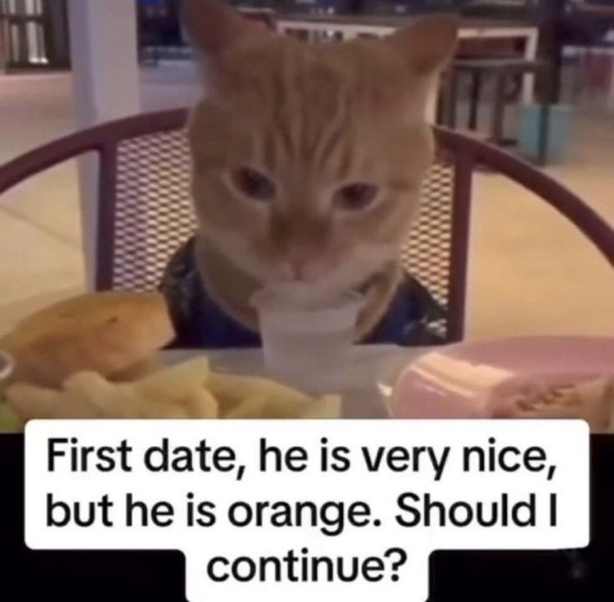 positive side of X 🌞 tweet media