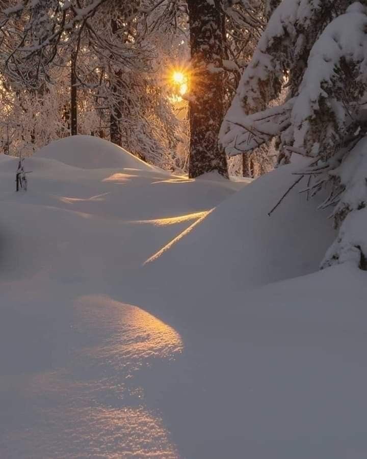 Naturelove ❄️🫶