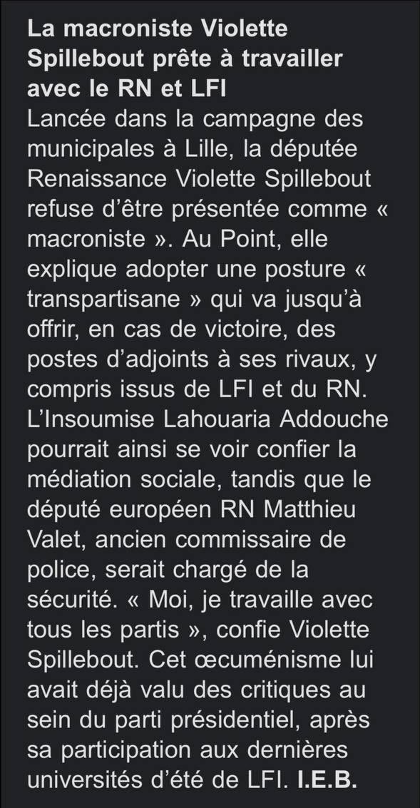 À Lille, Violette Spillebout est prête à tout, même à faire alliance avec l’extrême-droite.

Tenter de cacher son étiquette politique est une chose, vouloir manger à tous les râteliers en est une autre.
L’absence de colonne vertébrale politique de la candidate macroniste est
