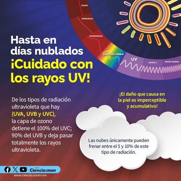 Ciencia_UNAM's tweet image. #Salud | No bajes la guardia, los #rayos #UV afectan tu cuerpo.
Las nubes sólo frenan menos del 10% de este tipo de #radiación
Cuida tu piel y evita exponerte al #Sol sin protección: lc.cx/NjjpY8
