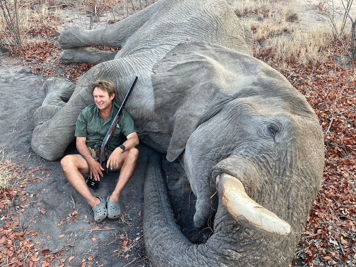 dominic dyer tweet media