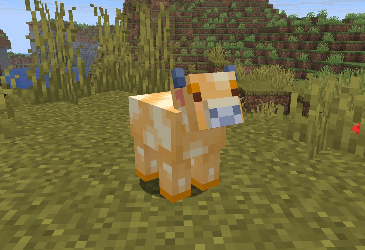 MintRefresh_MC's tweet photo. Day 22 of making baby textures for #MinecraftEarth animals for my Earth Animals data pack.
https://t.co/hUBsBUGahH

Cream Calf! 🍦 Will grow to produce some decalfeinated items one day!

#Minecraft #MinecraftArt #MinecraftCreator https://t.co/tArLE4dqRZ