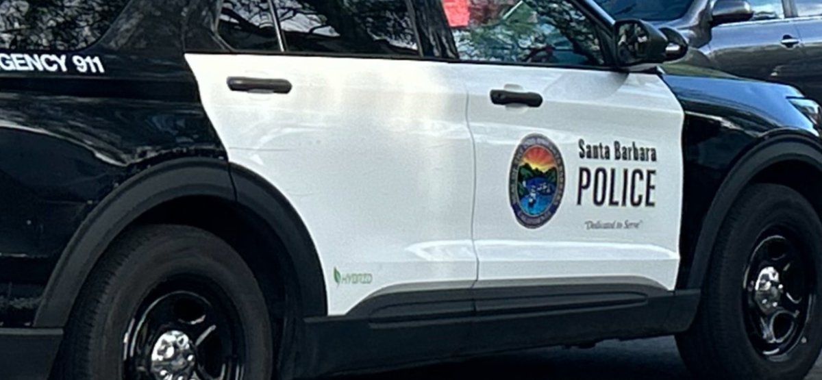 John Palminteri tweet media