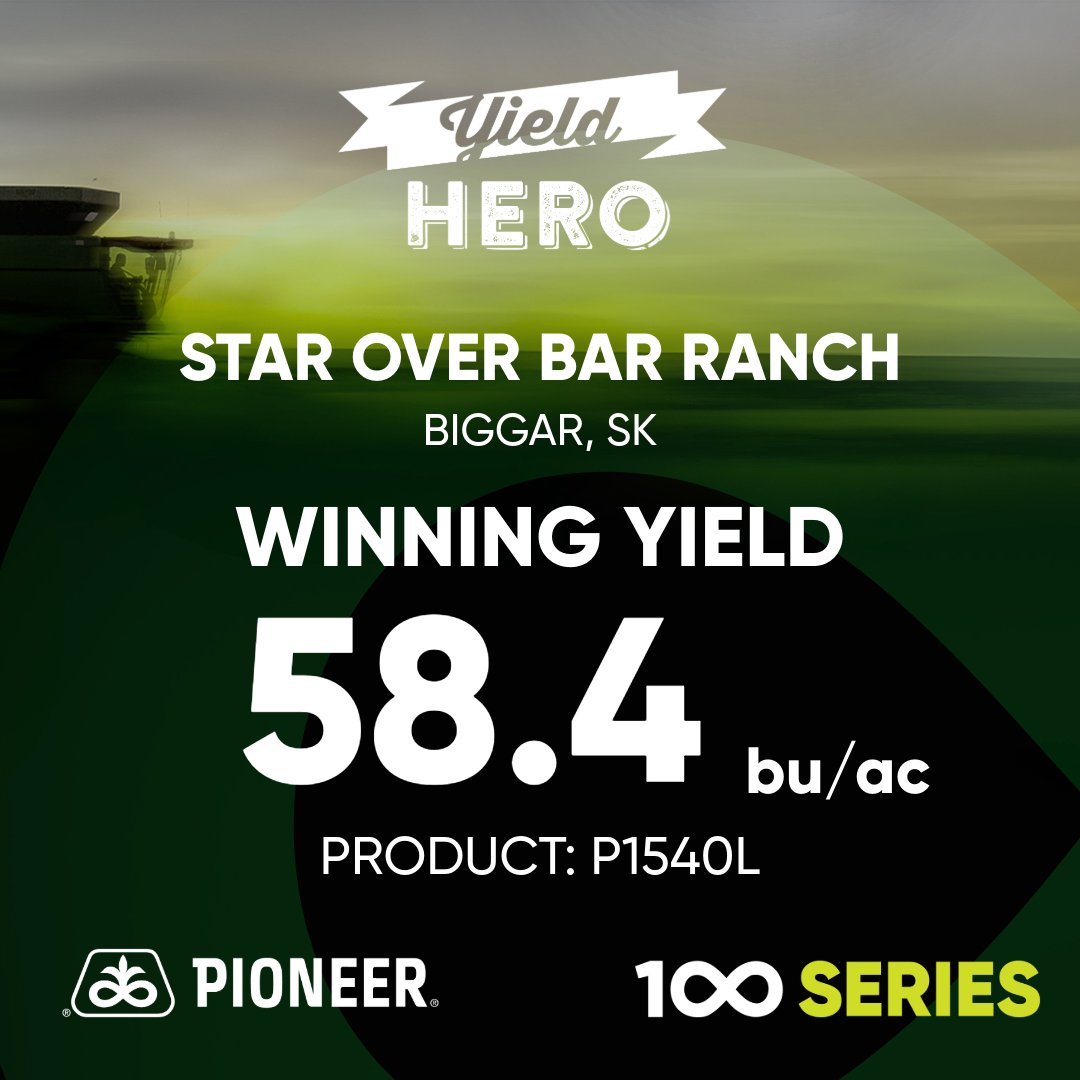 PioneerSeedsCA's tweet image. Let's keep rolling with #YieldHero25 winners! 💚 💚 💚 

A big congrats to Star Over Bar Ranch on joining the class of 2025 winners. 🙌

#Pioneer100Series #meaningfully different