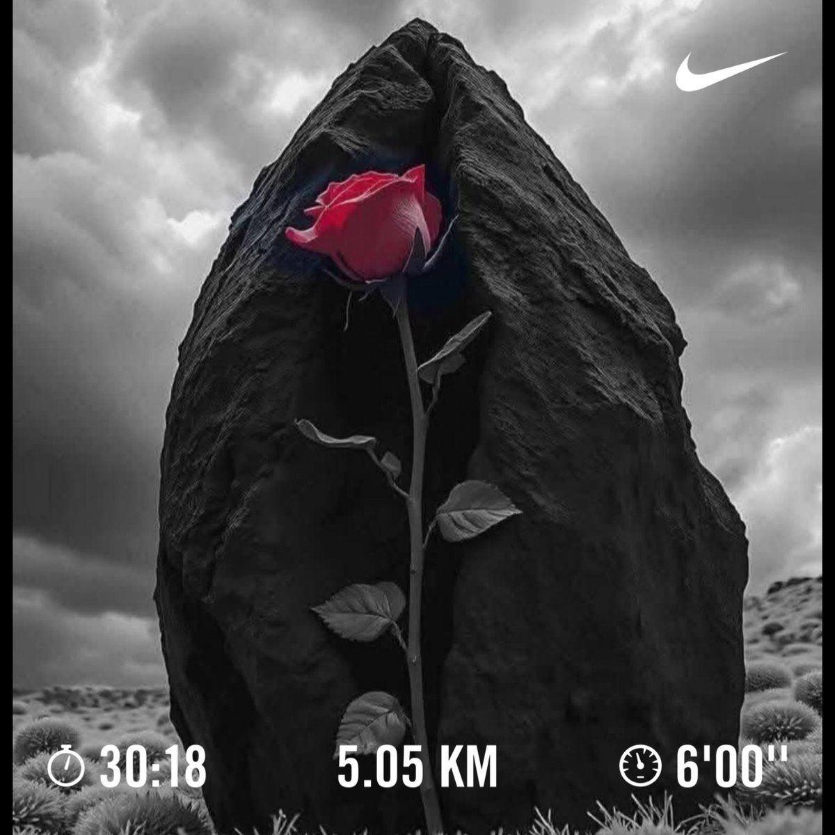 andy71soto's tweet image. Porque a veces el correr con el alma rota y sin prisas 😅😅😅 saca lo mejor de ti 🥹🥹🥹

#MissYou