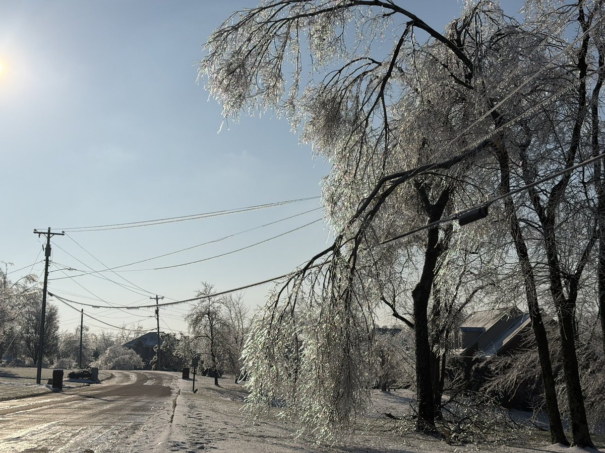 Maggie Weaver TV tweet media